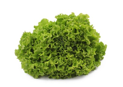 Салат романо 1 кг - купить в Шыладоре